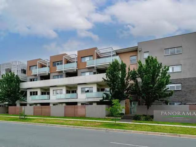 16/41 Philip Hodgins Street, Wright, ACT 2611