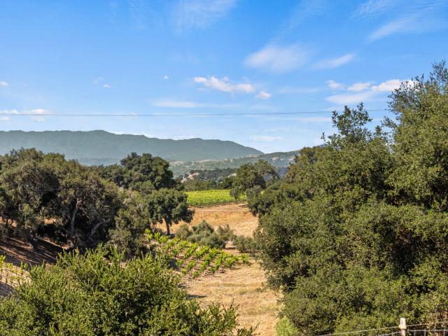 1642 Alamo Pintado Rd, Solvang, CA 93463 | MLS #25 2608