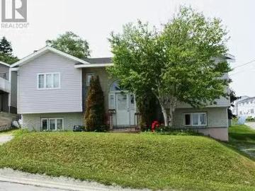 164 Elizabeth Street, Corner Brook, NL, A2H 6A1 house for sa.
