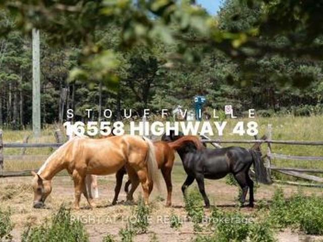 16558 Highway 48, Whitchurch Stouffville, ON, L4A 7X4 house for sale | Listing ID N13629 | Royal LePage