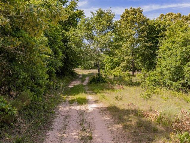 1655 County Road 1627