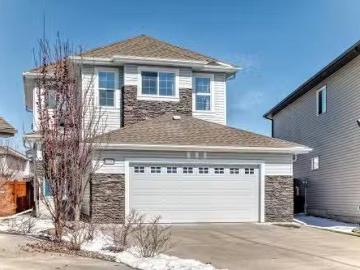 Carlton, Edmonton, Alberta - Fireplace