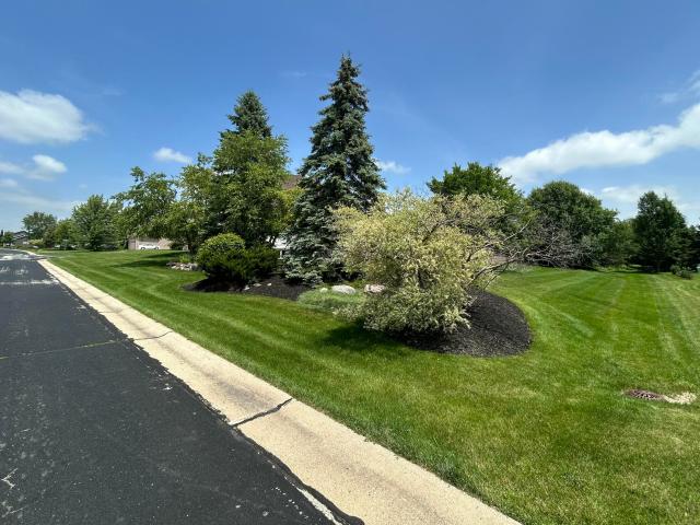 165 Chelsea Ln