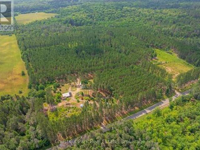 165 James Camp Road, Ryerson, ON, P0A 1C0 house for sale | Listing ID X13602 | Royal LePage
