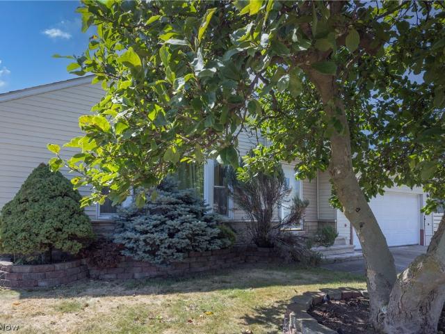 1668 Chelmsford