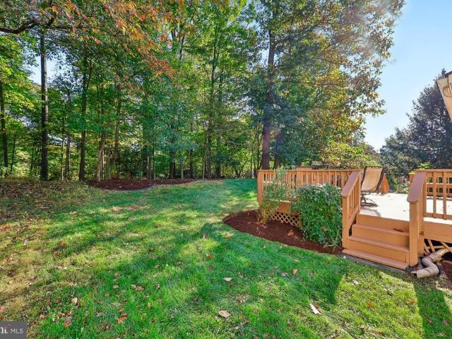 16613 Leopold Terrace