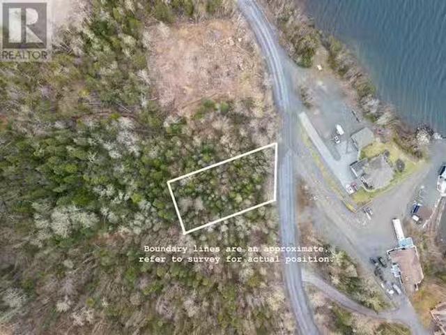 166 Cormack Drive, Clarenville, NL, A5A 2R3 vacant land for.