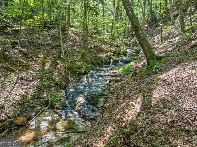 166 Walnut Mountain Court