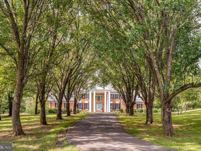 16771 Thunder Road