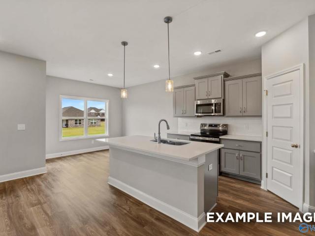16794 Demi Drive