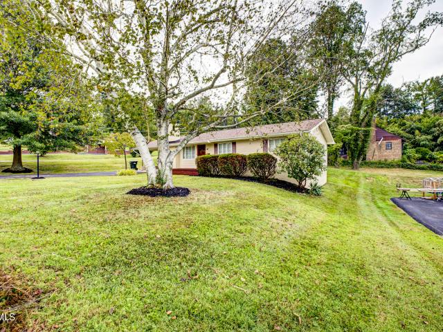 167 Cherry Lane