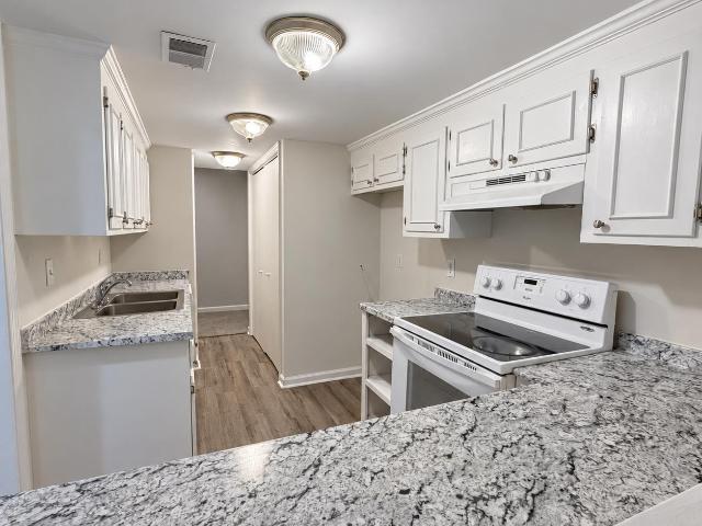 167 Lionsgate Drive