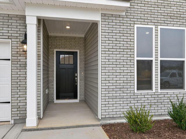 167 Prairie Wolf Street