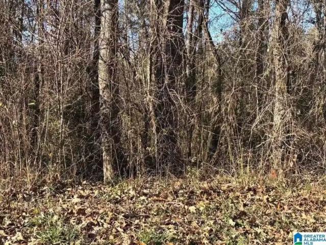 167 WILSON GLEN DR # 11, WILSONVILLE, AL 35186