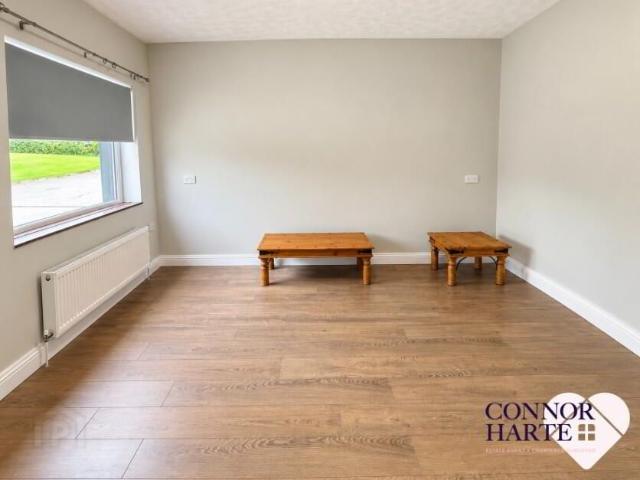 167a Drum Road, Cookstown, BT80 9DW