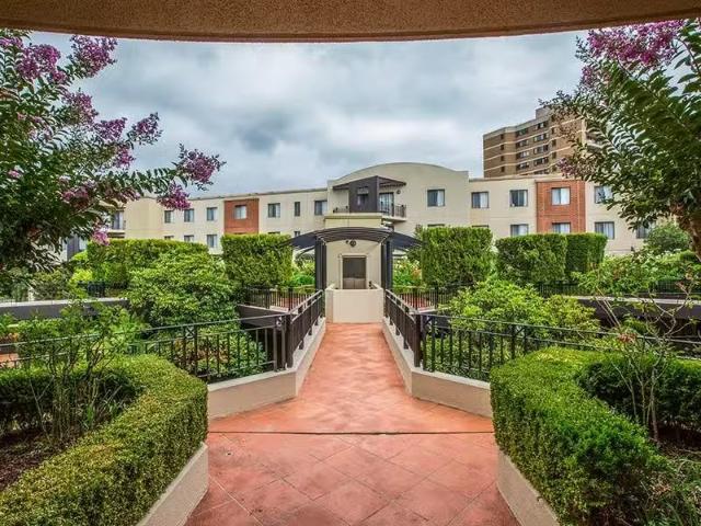 168/8 Jardine Street, KINGSTON Apartment for rent Listed by L.