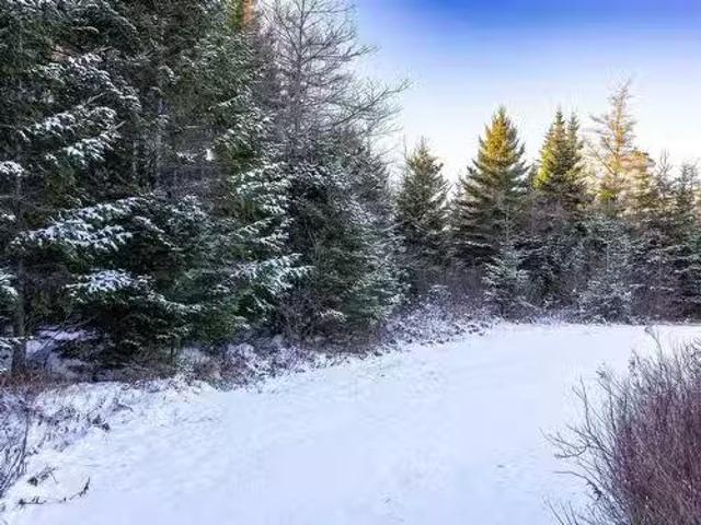 1682 Sonora Road, Sherbrooke, NS, B0J 3C0 vacant land for sa.