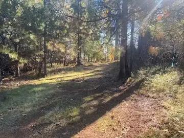 16831 GARDEN VALLEY RD, CAMPTONVILLE, CA 95922