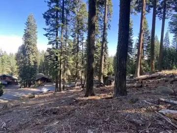 168 SLIM DR, CHESTER, CA 96020