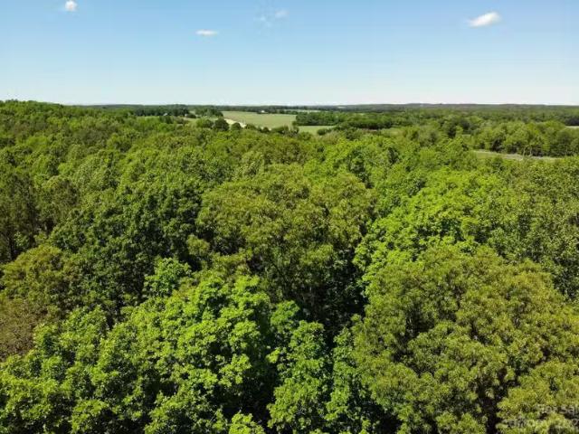 #168 Rolling Rd, Lincolnton, NC 28092 MLS 4027176