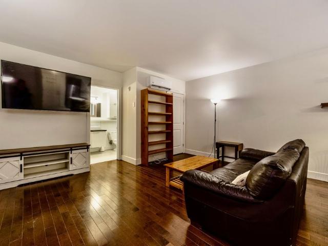 1696 Rue Ontario E Montréal Ville Marie, QC H2L