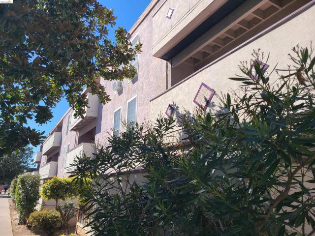 1699 Laguna Street 311