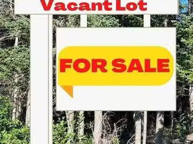 169 Conception Bay Highway, Holyrood, NL, A0A 2R0 vacant lan.