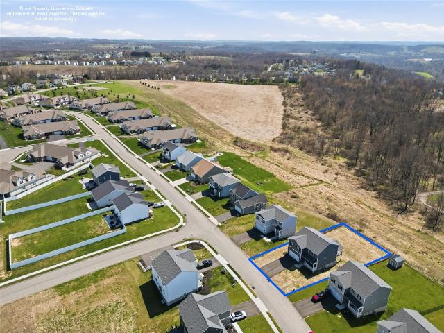 169 Shelton Place Drive