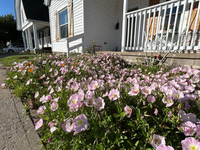 16 16th Street