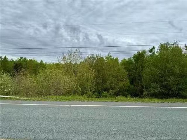 16.3 Acres Route 160, Saint Isidore, NB, E8M 1A9 vacant land.