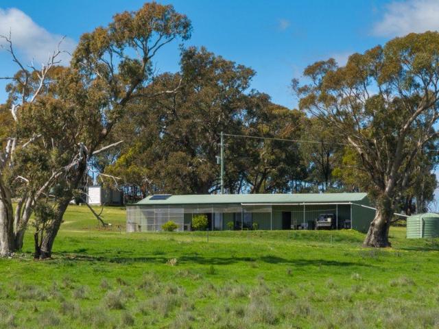 16 Acres, Ready to Go!