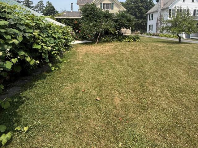 16 Carillon Road