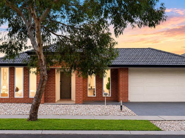 16 Freshet Avenue, Point Cook