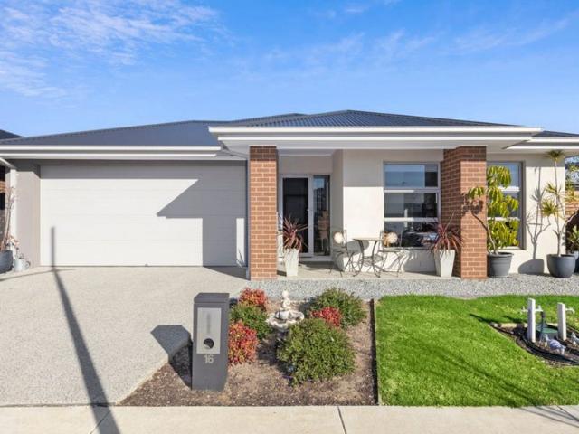 16 Hadley Street