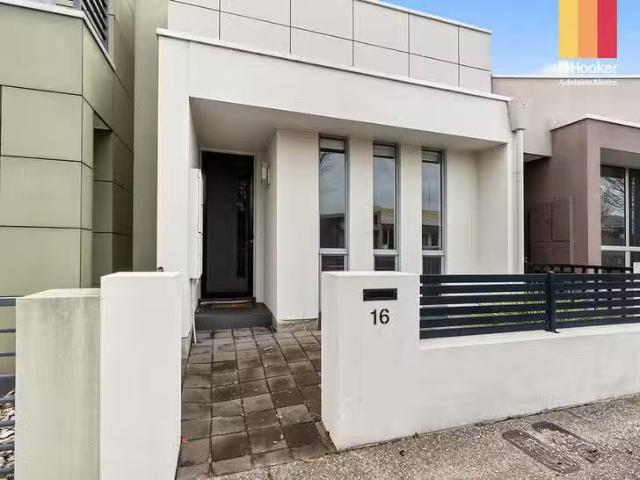 16 Ludgate Avenue, Lightsview, SA 5085