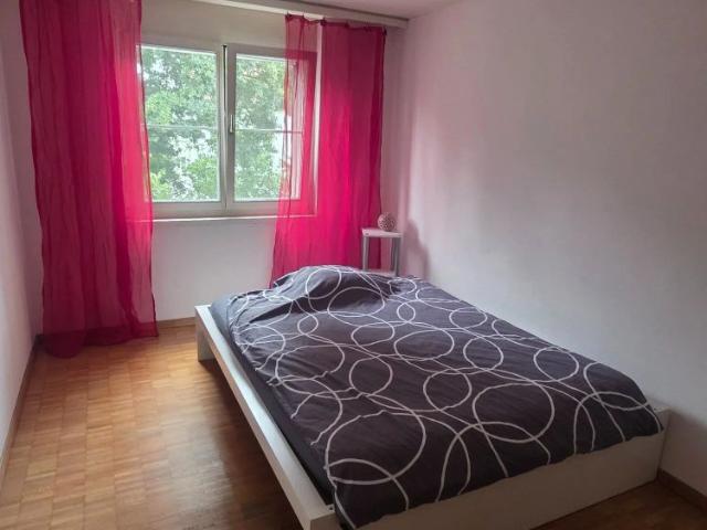 16 m²
