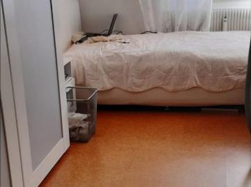 Muesmatt, Bern, Verwaltungsregion Bern-Mittelland, Kanton Bern