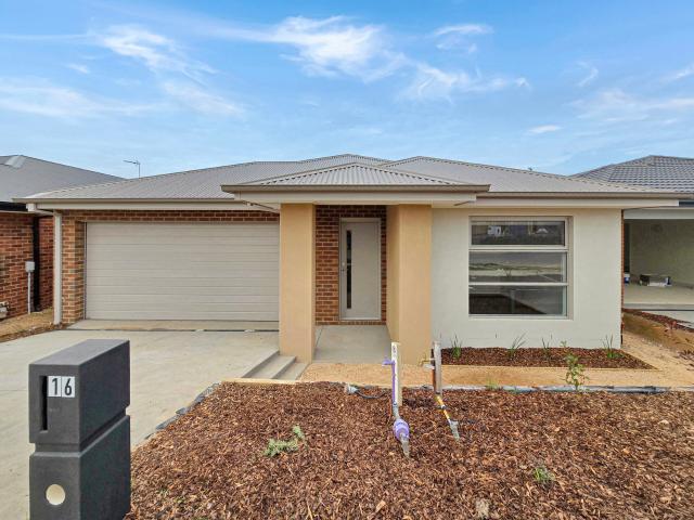 16 Mollyan Avenue
