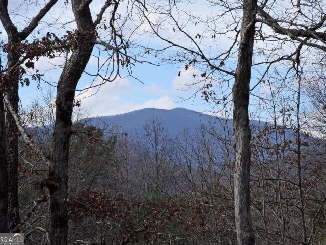16 Souther Ridge Connector, Unit 78, Blairsville, GA 30512 | MLS #10649