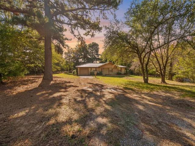 17092 Farm to Market Road 317, Chandler, TX 75758 | MLS #21256