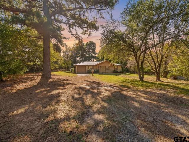 17036 & 17092 Fm 317, Chandler, TX 75758 | MLS #26006