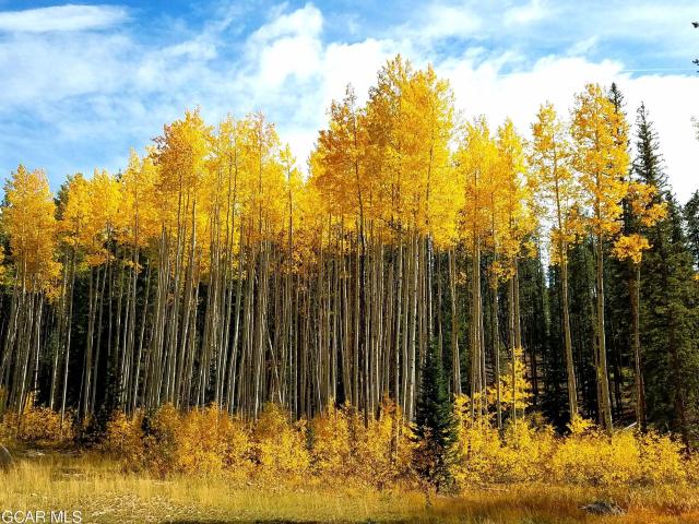 170 Cr 810, Fraser, CO