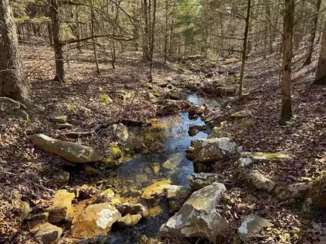 170 ENDERS RD, QUITMAN, AR 72131