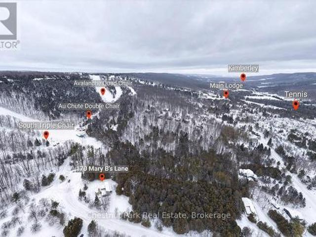 170 Mary B'S Lane, Grey Highlands, ON, N0C 1H0 house for sale | Listing ID X12786 | Royal LePage