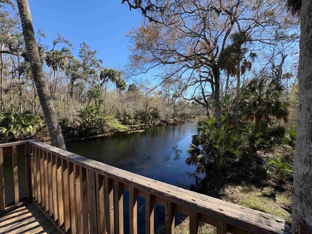 1714 River Rd, Steinhatchee, FL 32359 | MLS #397175