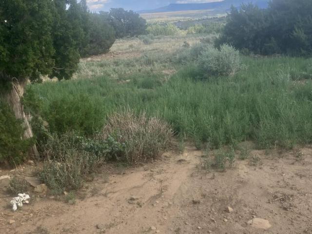 17161 County Road 71.1