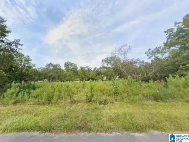 171 DAKOTA RD, THORSBY, AL 35171