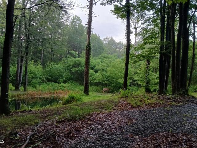 171 Willowbrook Drive