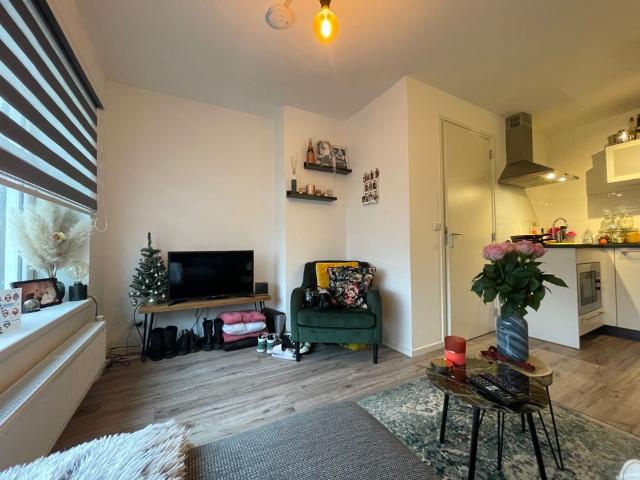 171b, Petrus Campersingel, Gorechtbuurt, Oosterparkwijk, Oude wijken, Groningen, Nederland, 9713 AK, Nederland