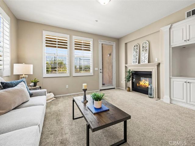 17206 Coriander Court